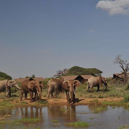 Kilima Safari Camp Hotell Oloitokitok Eksteriør bilde